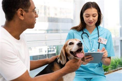 10 Most Common Animal Diseases Caused by Bacterial or Viral Infections