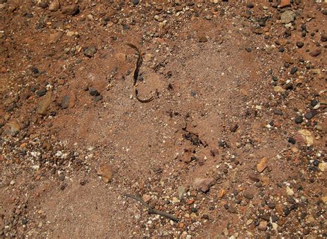 grounded surface examples  george jelks blog