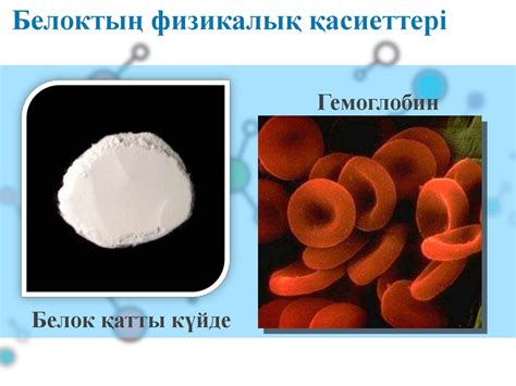 Белоктар. Биохимиясы - презентация онлайн