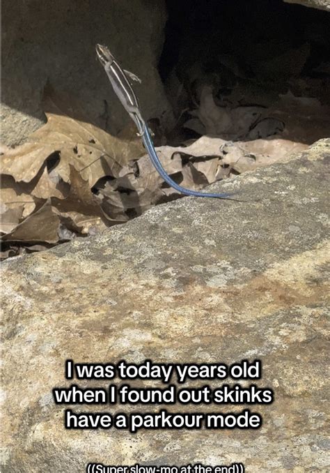 7/30(Wed) 2025 NEW RELEASE🔊💋👙💕🌹💖 | HARUKA🌷 (@cjd_haruka)