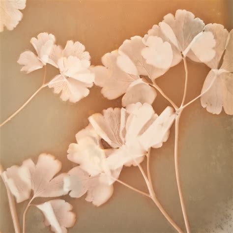 Court documents clarify what valerie cincinelli actually did 9