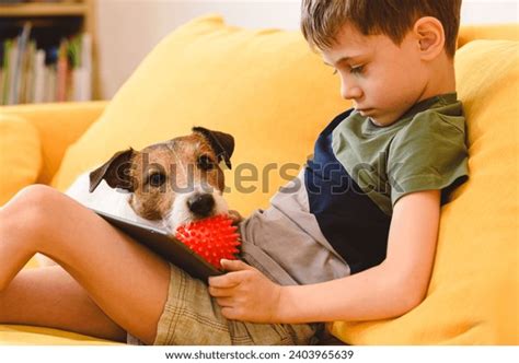 how to get dog attention
