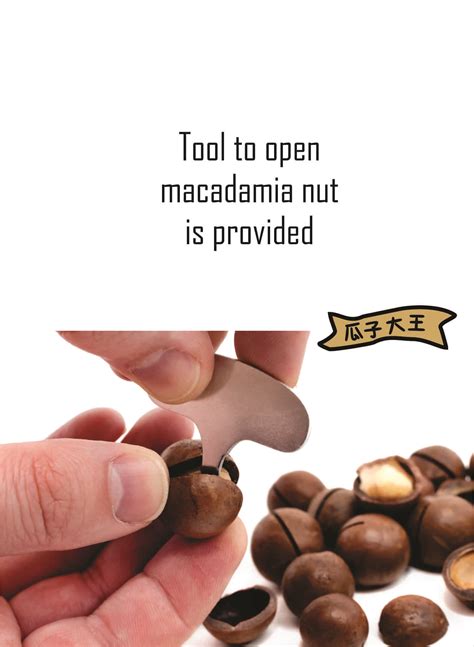 Roasted Macadamia Nuts – King of Melon Seeds