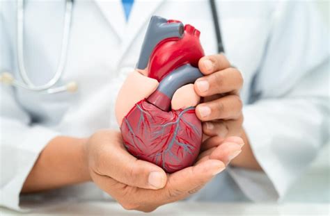Cardiovascular Diseases - A Comprehensive Guide