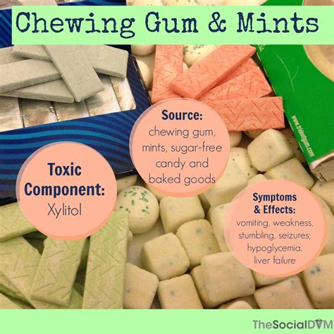 Xylitol in chewing gum and mints | Pet poison, Pet poison prevention ...