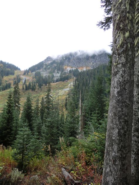 In Blackwater Woods – Stephanie Hee la