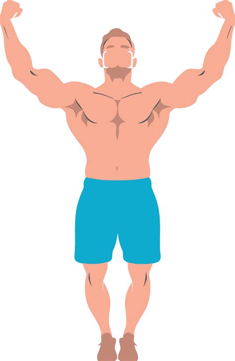 dynamic bodies vector art  bodybuilding  exercise muscle metrics