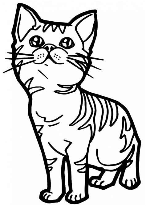 50+ Desenhos de Gatinhos para colorir - Como fazer em casa