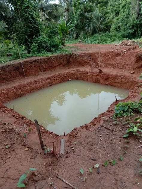 Large Ponds (Thailand) - #4 by Simon_on_Koh_Chang - Appropriate ...