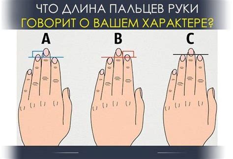 ЧТО ДЛИНА ПАЛЬЦЕВ РУКИ ГОВОРИТ О ВАШЕМ ХАРАКТЕРЕ? | Чёрт побери ...
