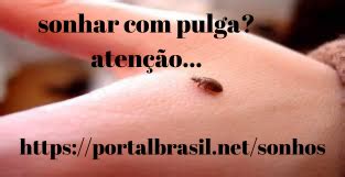 Qual O Significado De Sonhar Com Pulga - Sonhar com Pulga têm Alguns Significados. Atenção! Cuidado!