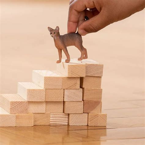 Buy Schleich - Abyssinian Cat 13964