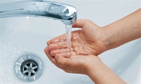 Клубнещит: инструкция по обработке картофеля, как разводить