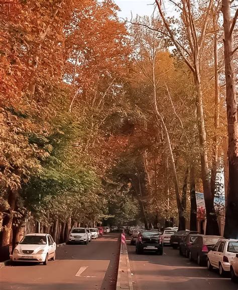 tajrish traditional bazaar kental travel