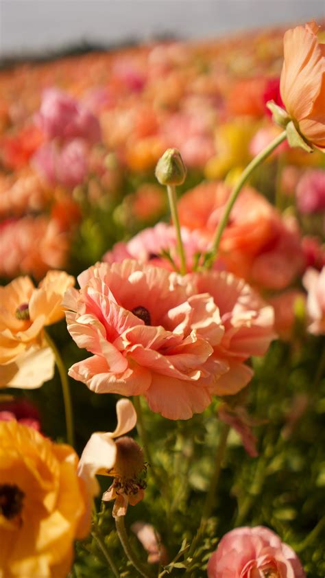 Amazing Vacations USA (@amazingvacationsusa) • Instagram photos and videos