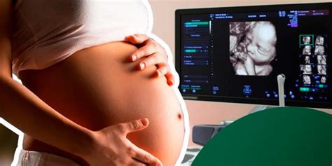 Quando O Bebe Morre Na Barriga O'que A Mae Sente - Quando o bebê começa a se mexer na barriga da mãe? - Bella Barriga