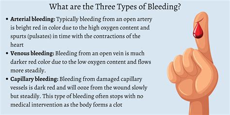 What Color Is Blood In The Arteries - Infoupdate.org