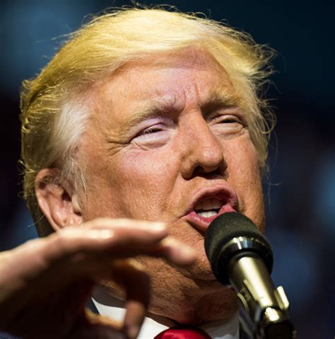 Donald Trump’s epic meltdown, explained | Vox