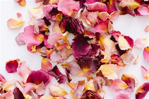 Drying Your Rose Petals – Grace Rose Farm (Rose Bushes)