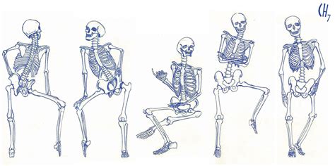 Skeleton Study - Poses 01 by chuunin7 on DeviantArt