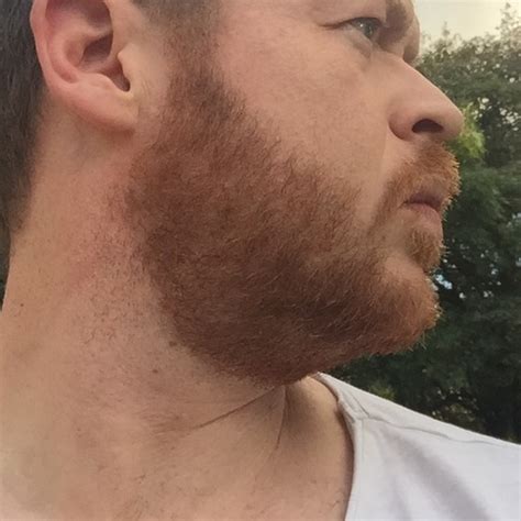 red beard  time    weeks beard board