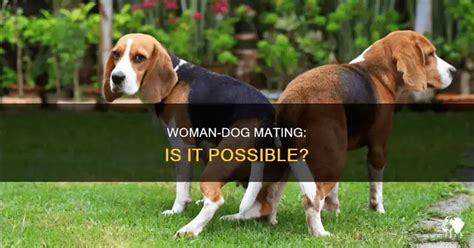 woman dog mating    petshun