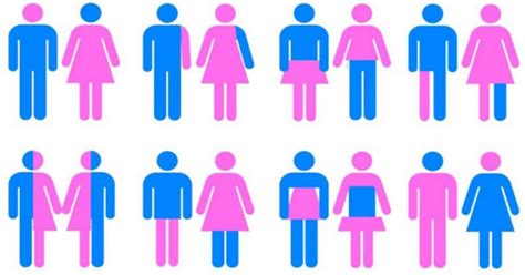 Genero X Sexualidade - Entenda Sexualidade e Identidade de Gênero!!! | Portal Diário do Aço