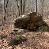 big rock trail loop south carolina  reviews map alltrails
