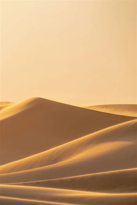 Sand Dunes in the DesertFree Stock Photo