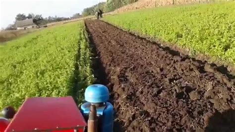 tzk  szantas  youtube