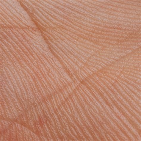 Guarding your skin barrier – babylonobserver.com