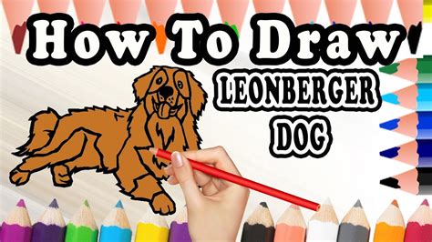 How To Draw A Leonberger DOG | Drawing step by step Leonberger Dog ...