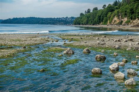 Saltwater State Park on a calm day at low tide. [OC] : r/Washington