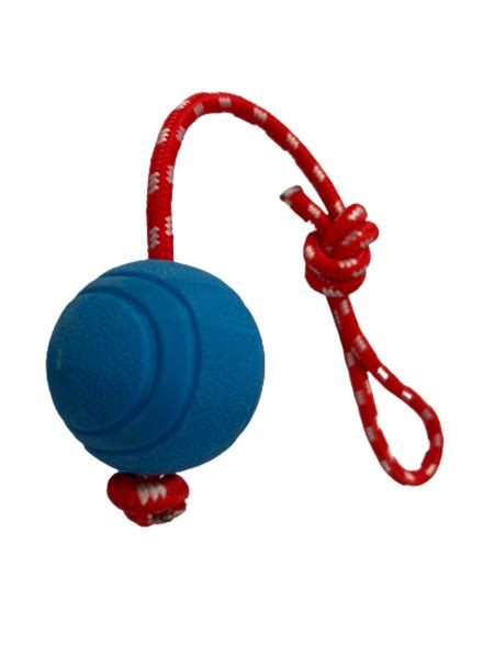 Rope and Ball Dog Toy 6.8cm | Shop Today. Get it Tomorrow! | takealot.com