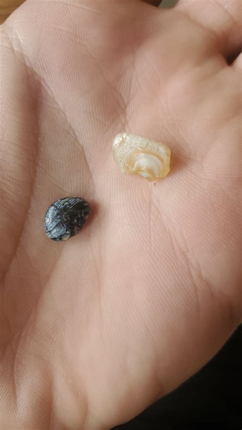 Are these agates? : r/Agates