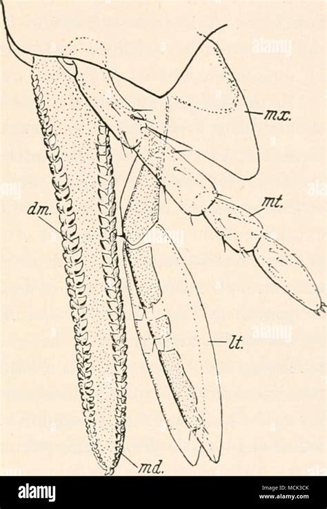 wagn  res stock photography  images alamy