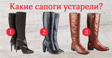 Модные сапоги