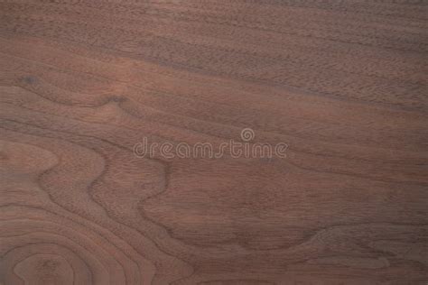 Texture of Toned Black Walnut Wood Stock Image - Image of american ...