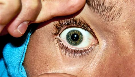 unique brain structure explains      futurity