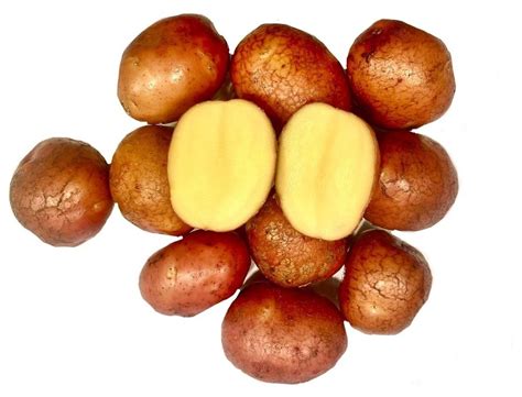 Картофель цена за кг — купить по низкой цене на Яндекс Маркете