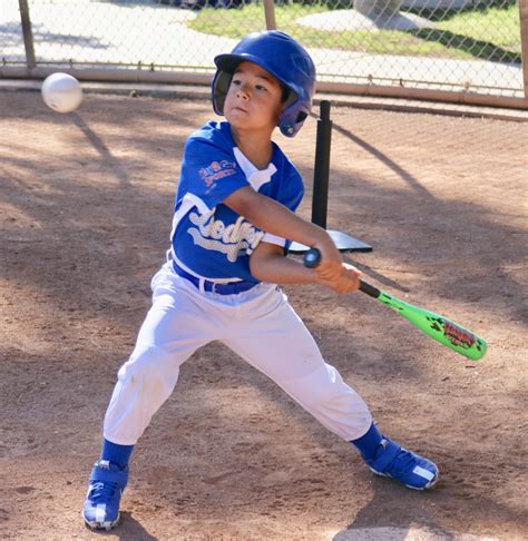 Best Tee Ball Bat For Coach Pitch at Tahlia Loyau blog
