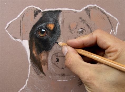 How to draw animal fur with pastels - Artists & Illustrators