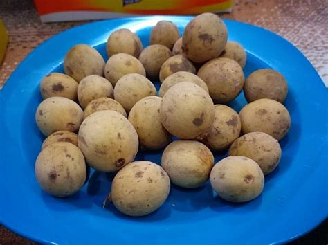 langsat buah endemik pulau kalimantan  atas piring biru foto stok