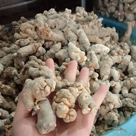 hieu ro ve cac loai tam  va cong dung cua chung