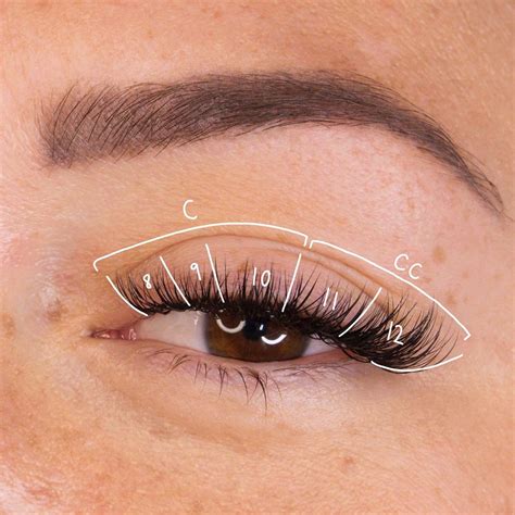 Cat eye lash map classic lashes – Artofit