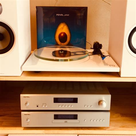 Why Vinyl is Back - In Force - Vinyl Revival, Melbourne