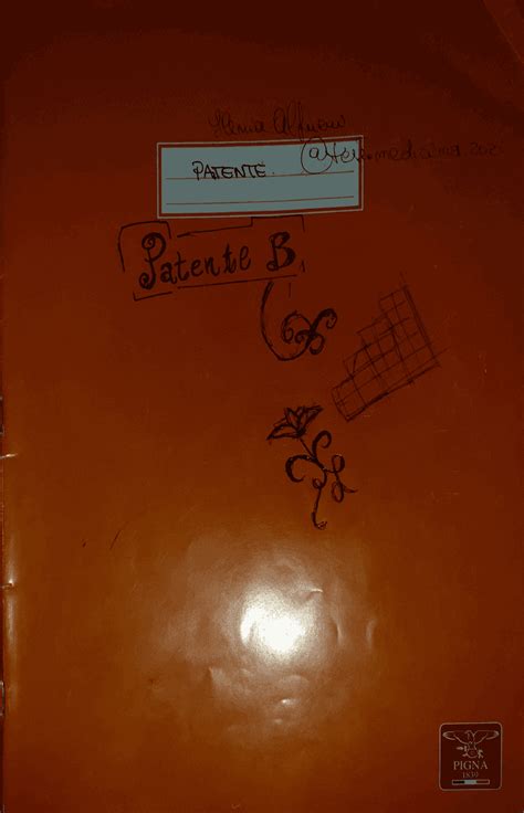 PATENTE B: quiz e teoria | Dispense di Scienze della Terra | Docsity