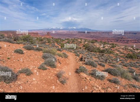 hiking the dead horse trail in dead horse point state park in utah in the usa Stock Photo - Alamy