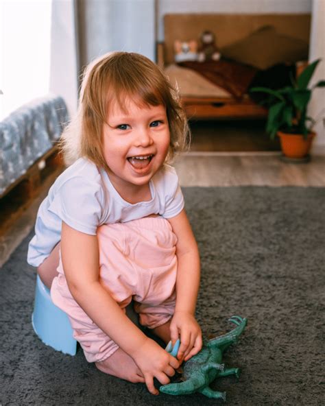 printable potty training chart   bathroom success fun plan