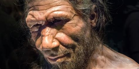 Неандертальцы были очень чувствительны к боли